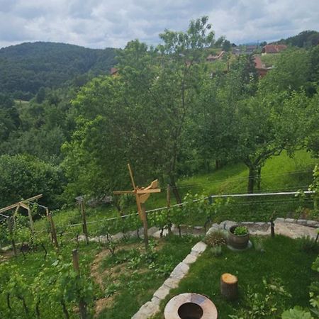 Zidanica Muhic Villa Dolenjske Toplice Ngoại thất bức ảnh