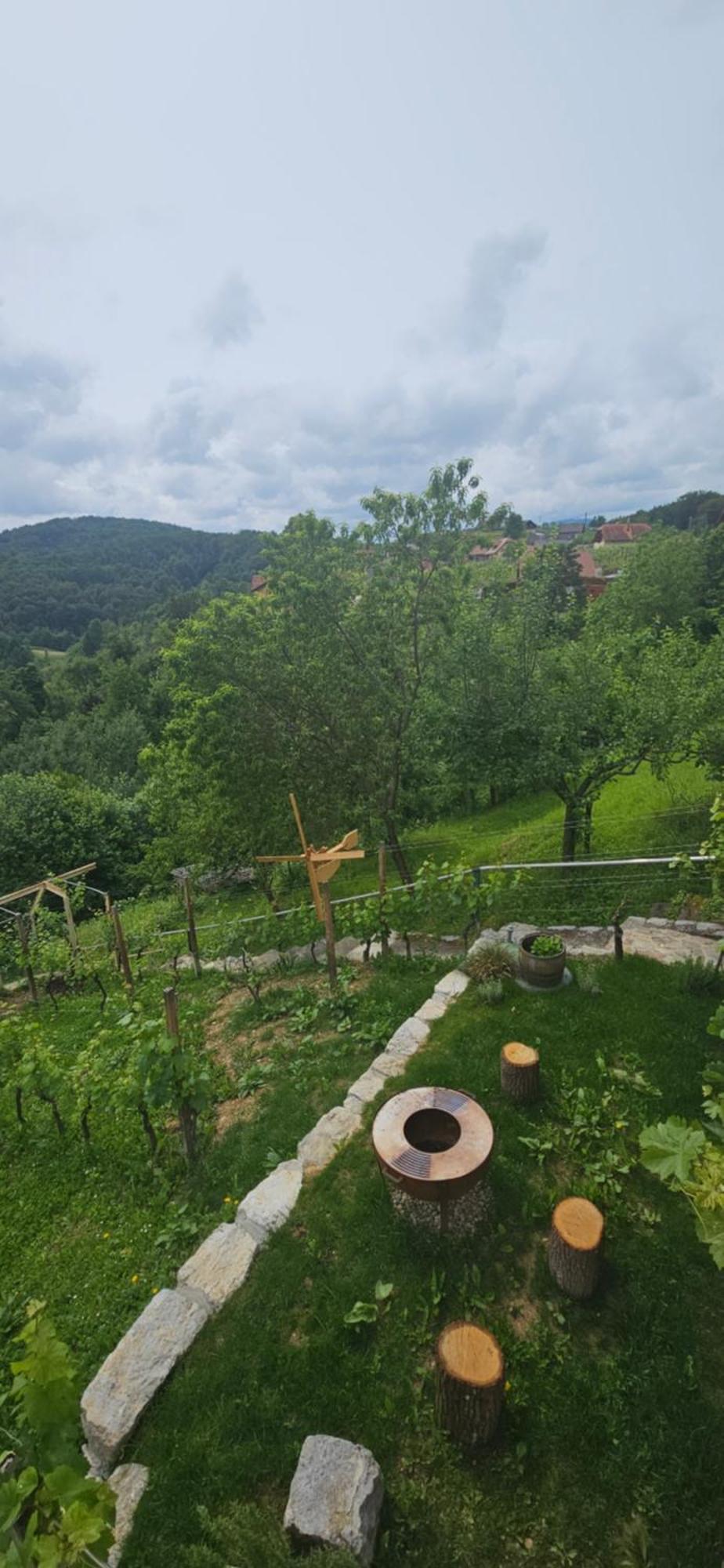 Zidanica Muhic Villa Dolenjske Toplice Ngoại thất bức ảnh